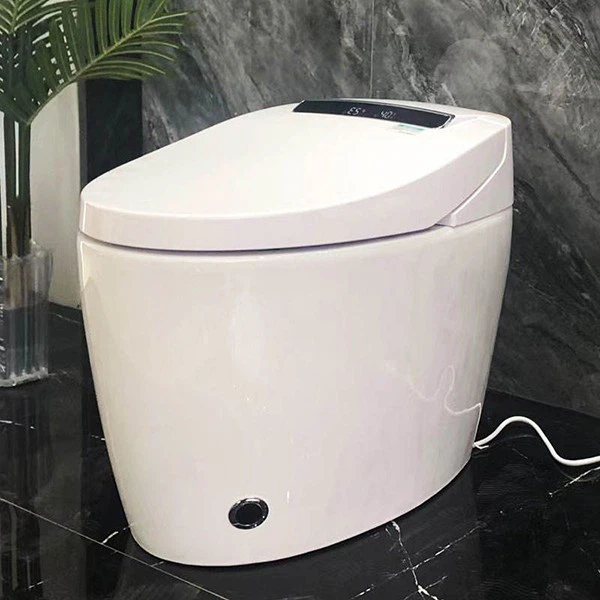 floor toilet